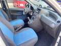 Fiat Panda Panda 1.2 Dynamic Class eco Blanco - thumbnail 20