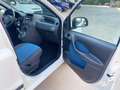 Fiat Panda Panda 1.2 Dynamic Class eco Blanco - thumbnail 19