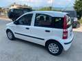 Fiat Panda Panda 1.2 Dynamic Class eco Blanco - thumbnail 5