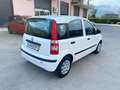 Fiat Panda Panda 1.2 Dynamic Class eco Blanco - thumbnail 7