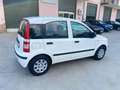 Fiat Panda Panda 1.2 Dynamic Class eco Blanco - thumbnail 8
