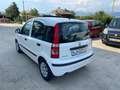 Fiat Panda Panda 1.2 Dynamic Class eco Blanco - thumbnail 6