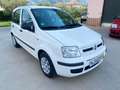 Fiat Panda Panda 1.2 Dynamic Class eco Blanco - thumbnail 10