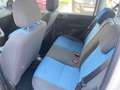 Fiat Panda Panda 1.2 Dynamic Class eco Blanco - thumbnail 14