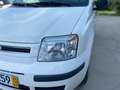 Fiat Panda Panda 1.2 Dynamic Class eco Blanco - thumbnail 3