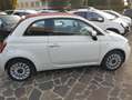 Fiat 500C 500C 1.2 Lounge 69cv dualogic NEOPATENTATI Bianco - thumbnail 7