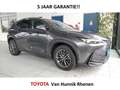 Lexus NX 450h+ Luxury Line | Dodehoek | Parksens | Leder | Apple/ Grijs - thumbnail 1