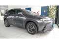 Lexus NX 450h+ Luxury Line | Dodehoek | Parksens | Leder | Apple/ Grijs - thumbnail 31