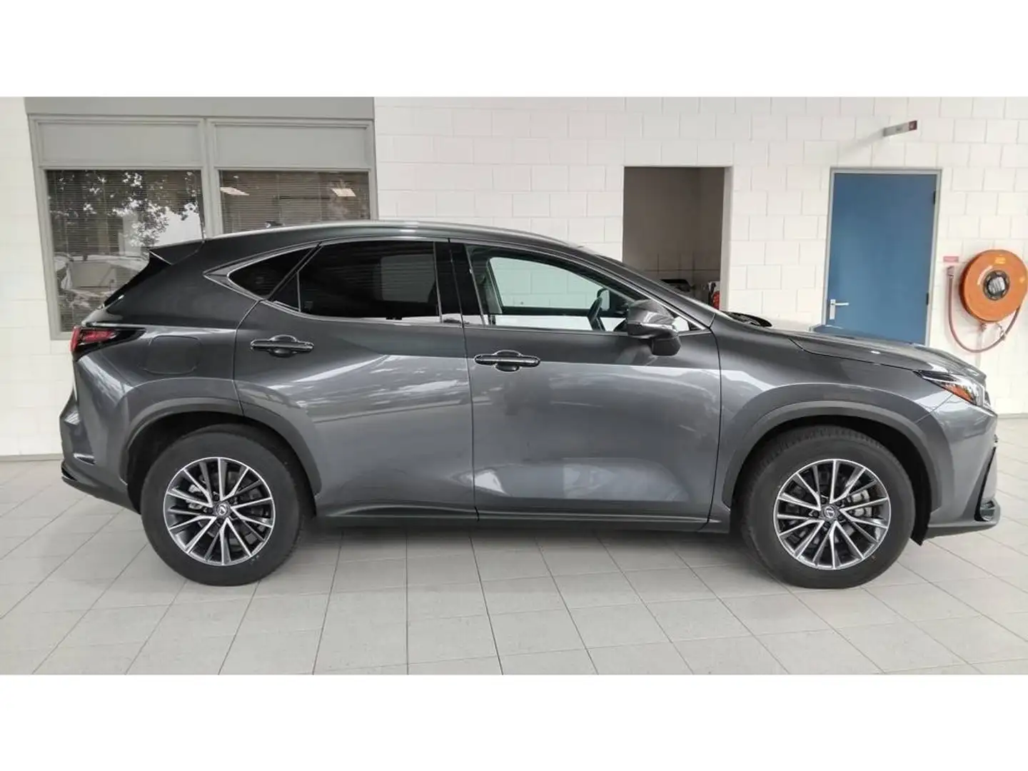 Lexus NX 450h+ Luxury Line | Dodehoek | Parksens | Leder | Apple/ Grijs - 2