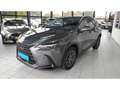 Lexus NX 450h+ Luxury Line | Dodehoek | Parksens | Leder | Apple/ Grijs - thumbnail 4