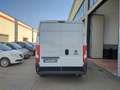 Fiat Ducato 33 2.2 Mjt 140CV PM-TM H2-L2 Furgone Bianco - thumbnail 6