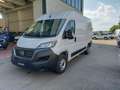 Fiat Ducato 33 2.2 Mjt 140CV PM-TM H2-L2 Furgone Bianco - thumbnail 3
