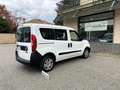 Fiat Doblo M-Jet AUTOCARRO N1 5 POSTI - 1 PROPRIETARIO Blanco - thumbnail 10