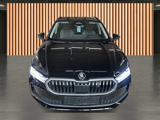 Skoda Superb view 28