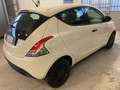 Lancia Ypsilon 1.2 Elefantino Blu 69cv  - 5 POSTI - PREZZO REALE Bianco - thumbnail 4
