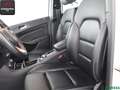 Mercedes-Benz B 180 B 180 AMG NIGHTFALL,KAMERA,TOTWINKEL,VOLLLEDER Weiß - thumbnail 10