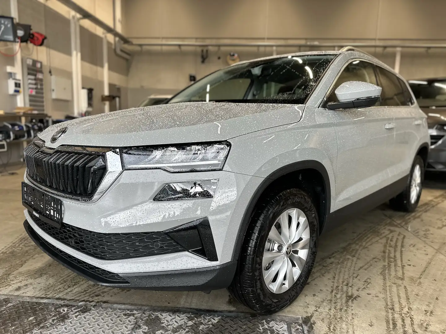 Skoda Karoq 1,5TSI DSG Ambition PDC Kamera AppConnect Gris - 1