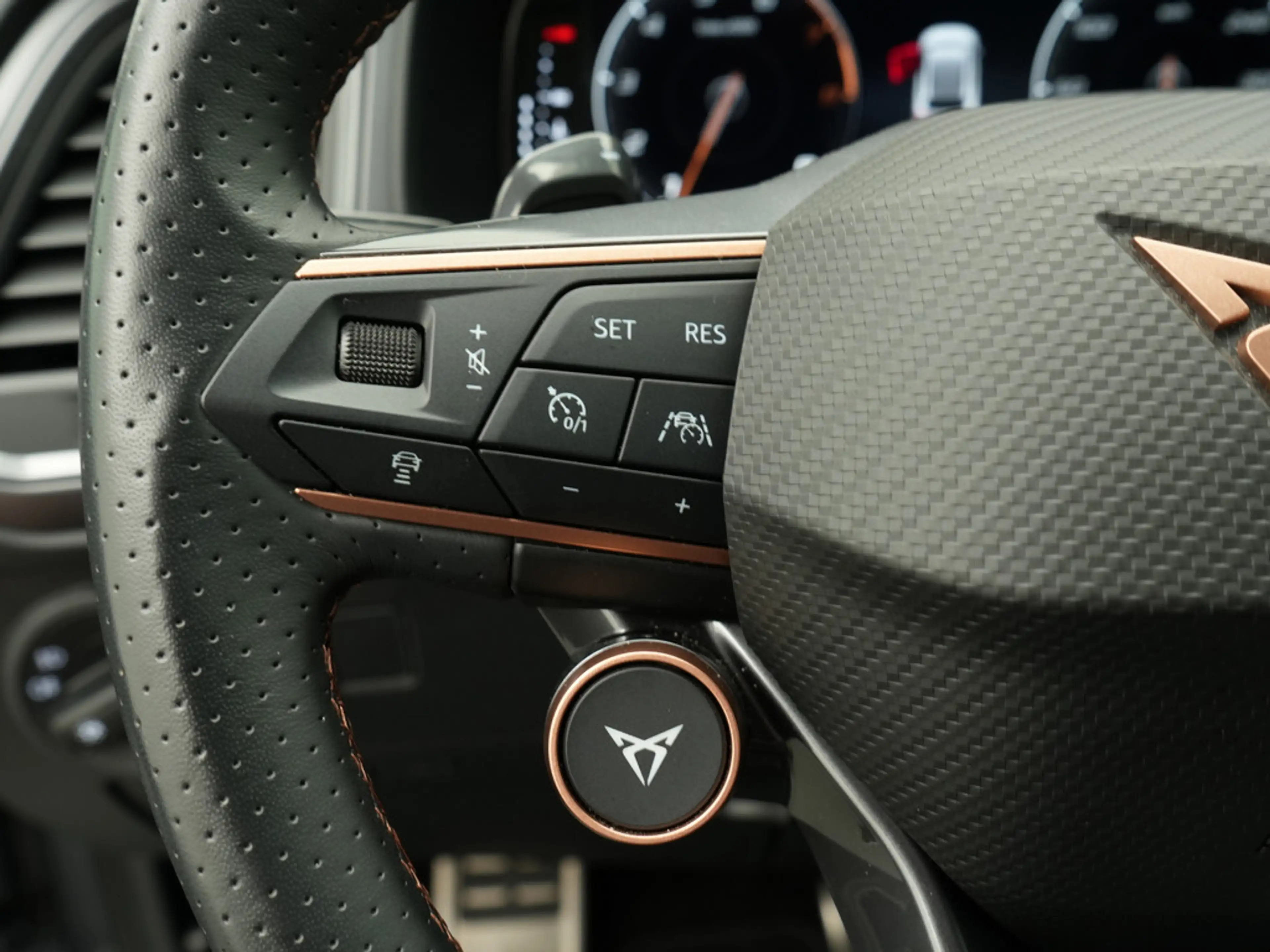 CUPRA Ateca VZ 4Drive AHK DCC LED 360° KAM ACC PDC SHZ — photo 7