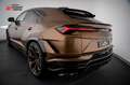 Lamborghini Urus Perfomante 23 Carbon B&O Pano 5Y-Main Xpel Or - thumbnail 27