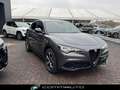 Alfa Romeo Stelvio 2.2 Turbodiesel 210 CV AT8 Q4 Veloce Grigio - thumbnail 3