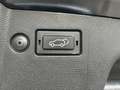 SsangYong Torres 1.5 T-GDI FOREST EDITION Aut./CAM/LED/ACC Noir - thumbnail 15