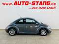 Volkswagen New Beetle **KLIMA+ALLWETTER 16"LMF+AUTOMATIK** Grey - thumbnail 4