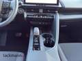 Toyota C-HR 2.0 Plug-In Hybrid Team D*Technik-Paket* Rot - thumbnail 13