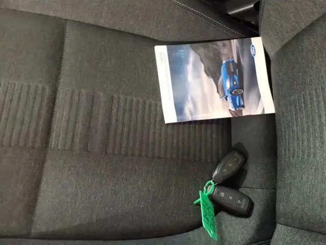 Ford Focus view 14