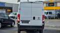 Fiat Ducato L3 H2 3-Sitzer *0% Finanzierung* Weiß - thumbnail 6