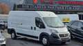 Fiat Ducato L3 H2 3-Sitzer *0% Finanzierung* Weiß - thumbnail 3