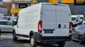 Fiat Ducato L3 H2 3-Sitzer *0% Finanzierung* Weiß - thumbnail 7