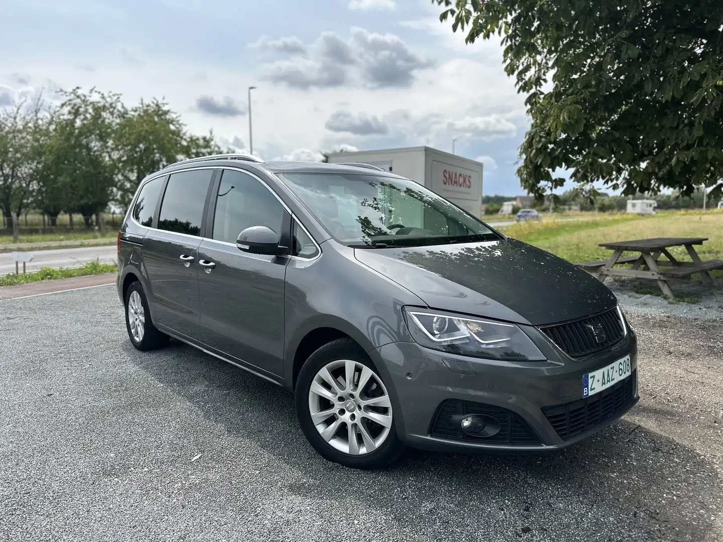 SEAT Alhambra 2.0 TDI (Ecomotive) Start & Stop DSG Reference - 1