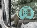 MINI Cooper S Jhon Works Negro - thumbnail 12