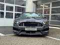 Ford Mustang GT 5.0 PERF. PACK/SPORT AGA/SHELBY PACK Grau - thumbnail 2