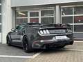 Ford Mustang GT 5.0 PERF. PACK/SPORT AGA/SHELBY PACK Grau - thumbnail 6