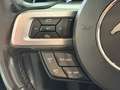 Ford Mustang GT 5.0 PERF. PACK/SPORT AGA/SHELBY PACK Grau - thumbnail 16