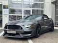 Ford Mustang GT 5.0 PERF. PACK/SPORT AGA/SHELBY PACK Grau - thumbnail 1