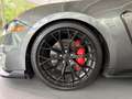 Ford Mustang GT 5.0 PERF. PACK/SPORT AGA/SHELBY PACK Grau - thumbnail 18