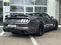 Ford Mustang GT 5.0 PERF. PACK/SPORT AGA/SHELBY PACK Grau - thumbnail 4