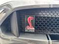 Ford Mustang GT 5.0 PERF. PACK/SPORT AGA/SHELBY PACK Grau - thumbnail 13