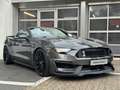 Ford Mustang GT 5.0 PERF. PACK/SPORT AGA/SHELBY PACK Grau - thumbnail 3