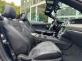 Ford Mustang GT 5.0 PERF. PACK/SPORT AGA/SHELBY PACK Grau - thumbnail 11