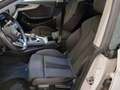 Audi A5 35 TDI Sport/Virtual/Matrix/Kamera/Ambiente/ Weiß - thumbnail 12