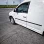 Volkswagen Caddy 1900 tdi 105 cv 210000 km Blanc - thumbnail 7