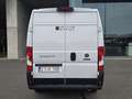 Fiat Ducato L2H2 Blanc - thumbnail 4