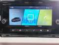 SEAT Ibiza 1.0 TSI S&S Reference XM 95 Blanco - thumbnail 14