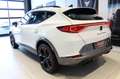 CUPRA Formentor VZ 2.0TSI DSG 4Drive LED/NAVI/AHK/SHZ Klima Navi Weiß - thumbnail 2