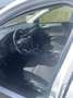 Ford Focus Traveller 1,0 EcoBoost Trend - thumbnail 14