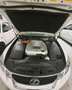 Lexus GS 450h President Facelift in Pearlweiß Sport Blanco - thumbnail 9