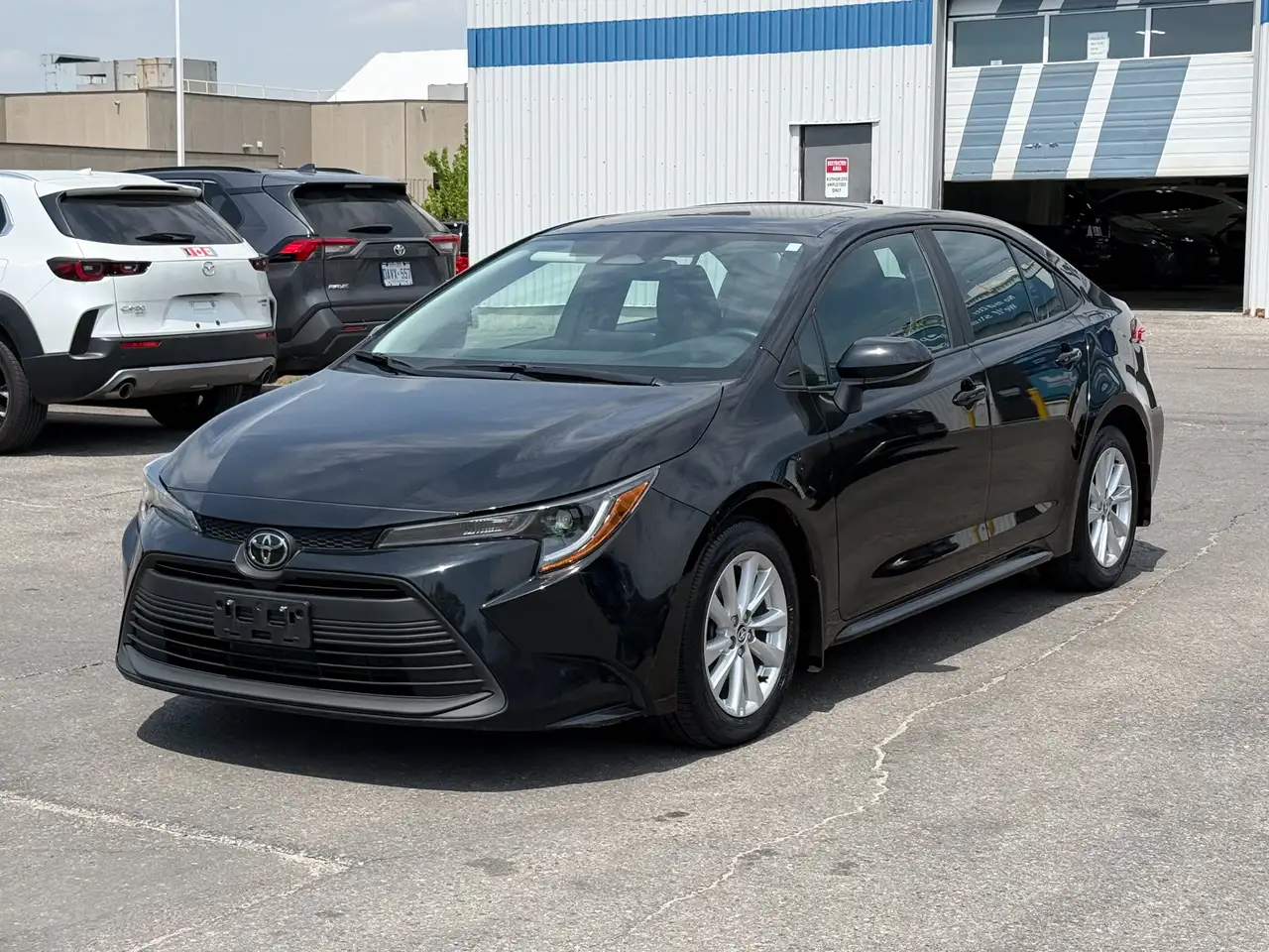 Toyota Corolla photo Toyota Corolla